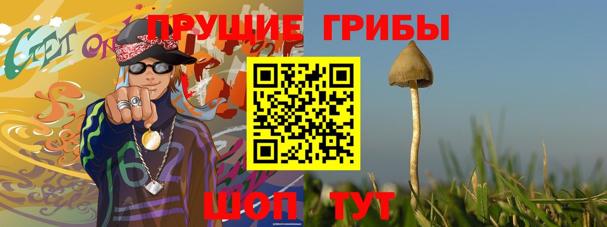 Псилоцибиновые грибы Cubensis  Вход с VPN  Псилоцибиновые грибы Psilocybine cubensis  Джанкой 